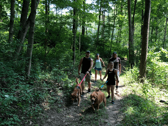 pet-friendly community trails